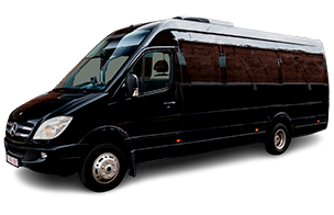 VIP Mini Coach