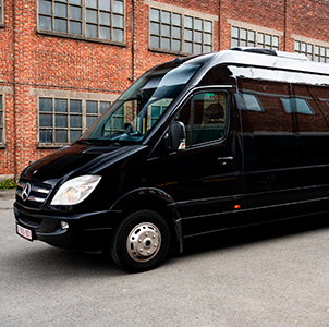 VIP Mini Coach